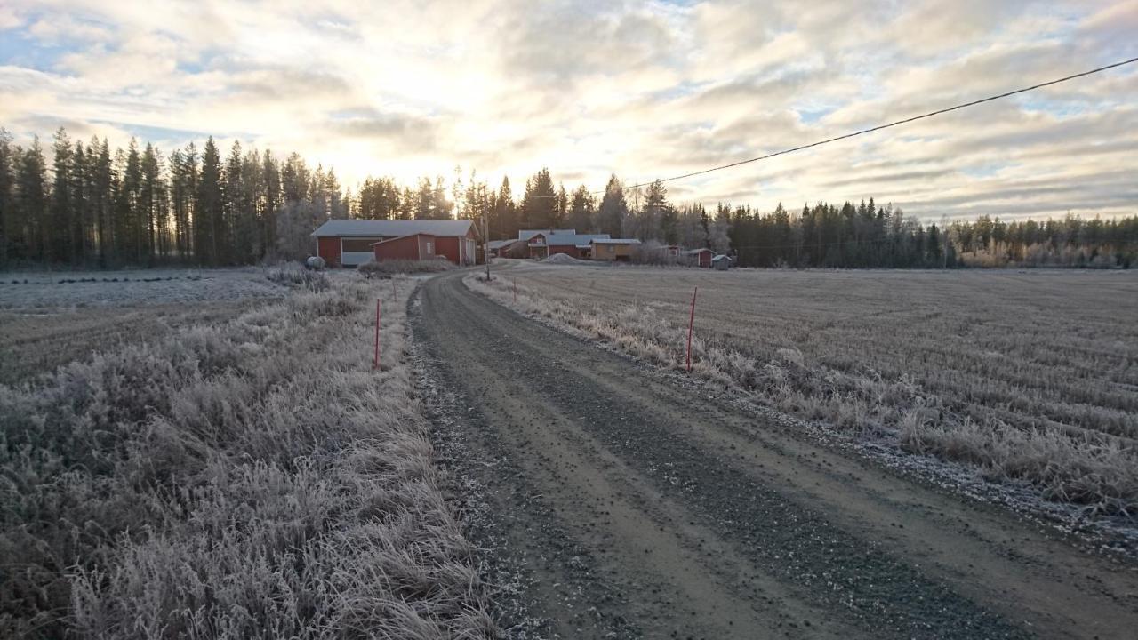 Maatilamatkailu Ilomaeki Seinajoki Exterior photo
